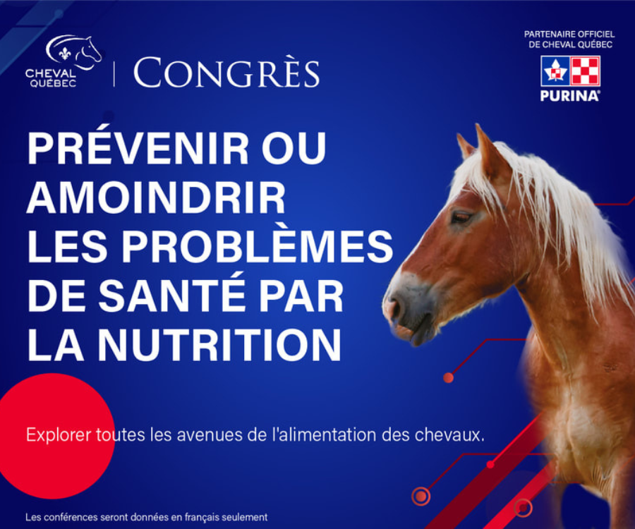 Nutrition équine : Prévenir ou amoindrir les problèmes de santé par la nutrition